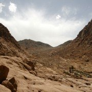 _MG_7510 _MG_7510