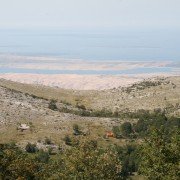IMG_4783 IMG_4783