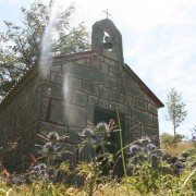 IMG_4833 IMG_4833