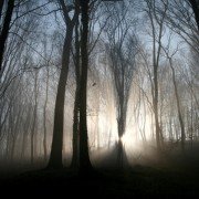 IMG_6319 IMG_6319