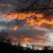 IMG_6625 IMG_6625
