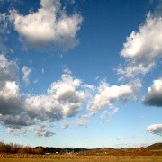 IMG_6659 IMG_6659